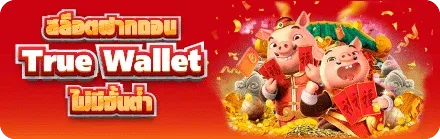 Slot-True-Money-Wallet.png